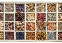 Receba sementes grátis das mais variadas árvores