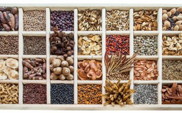 Receba sementes grátis das mais variadas árvores