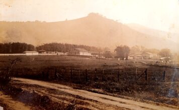 Trabalhadores do café em Santa Rita do Sapucaí