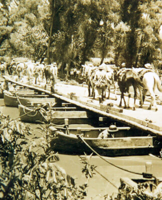 Uma história hilária por trás dessa fotografia