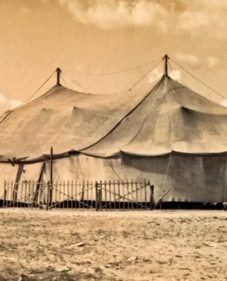 O curioso circo do Pirulito