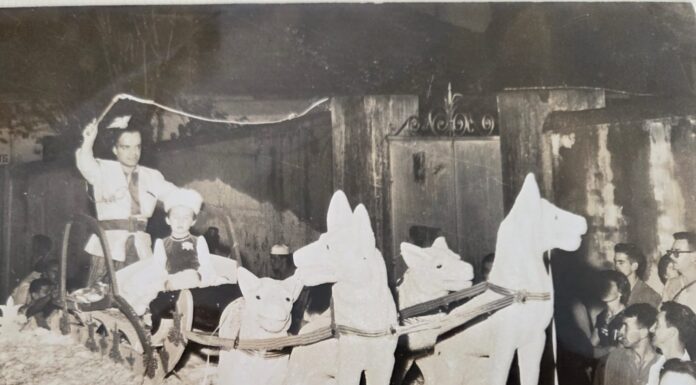 As aventuras de Mário do Putieu