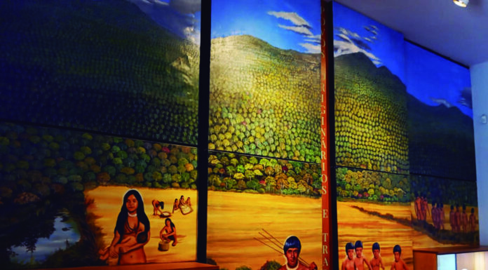 Museu Histórico Delfim Moreira amplia acervo e inaugura novas exposições