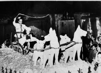 Mário do Putieu no carnaval