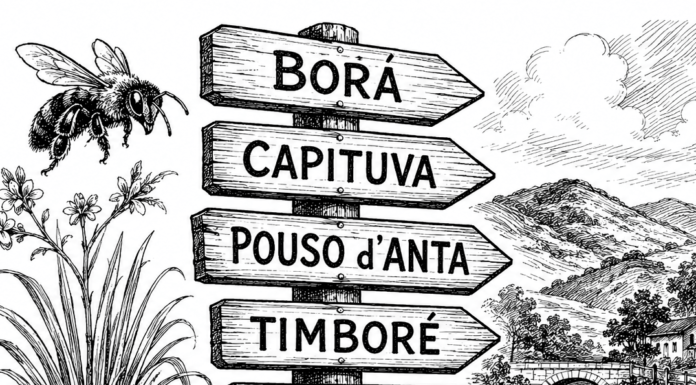 Povoados santa-ritenses esquecidos